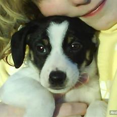 Blanding af racer Sharky! :D <33 RIP