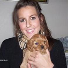 Cavalier king charles spaniel Sally