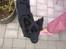 Islandsk fårehund Gaia