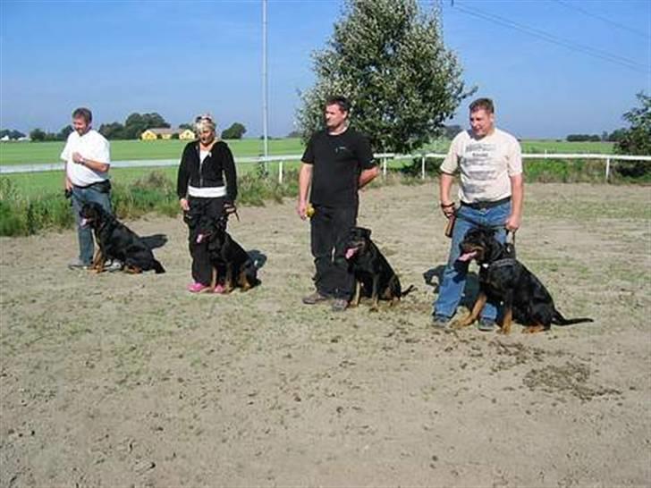 Rottweiler ANTON <3 R.I.P <3 billede 11