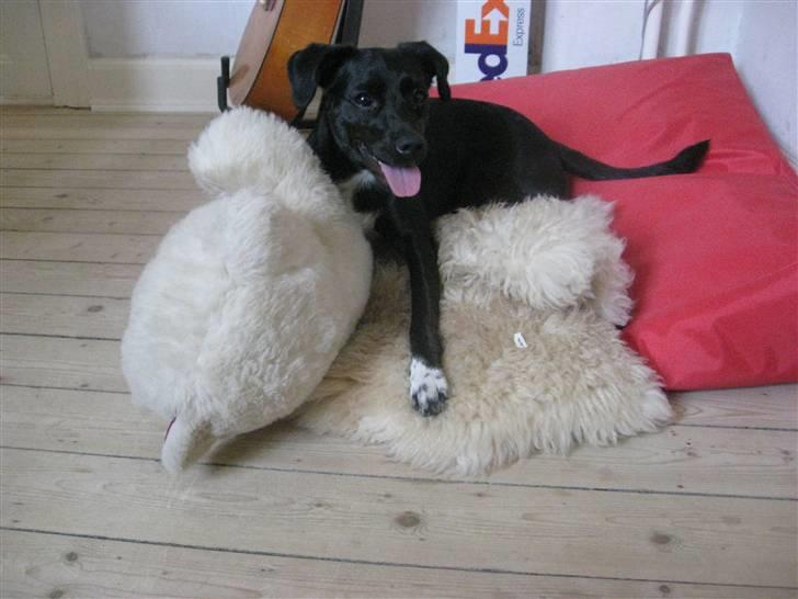 Blanding af racer Karla Malone - Puha, det er hårdt at lege så vildt med sin bamse billede 10