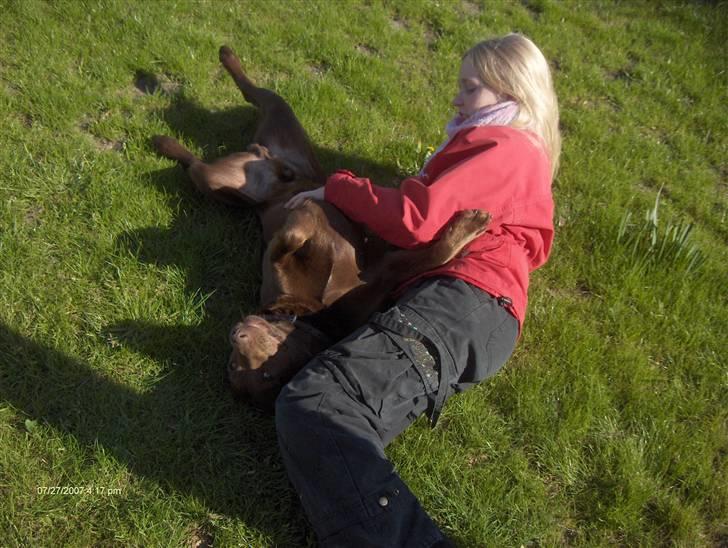 Blanding af racer Bruno R.I.P  billede 13