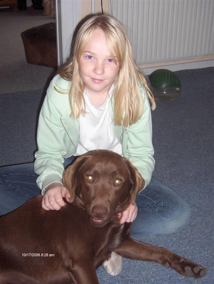 Blanding af racer Bruno R.I.P  - Hun er bare skøn :) billede 19