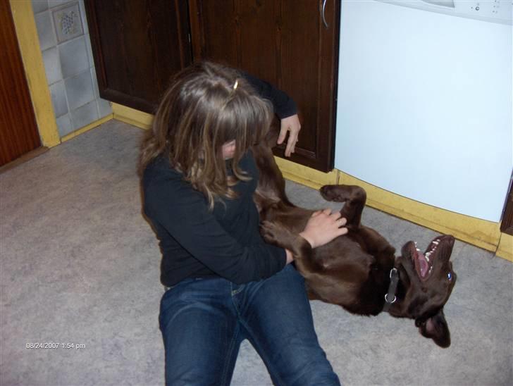 Blanding af racer Bruno R.I.P  - Elsker at lege med andre en mig selv :P billede 20