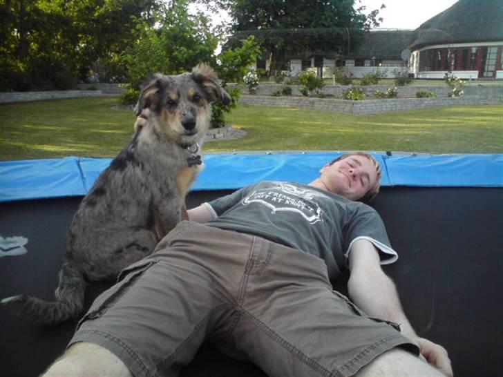 Blanding af racer Idaho billede 3