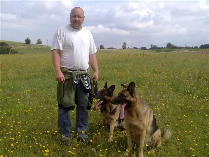 Schæferhund Qato - Mig selv og Qato og vores anden schæfer Django. Django ved bare ik at ørene skal stå. billede 4