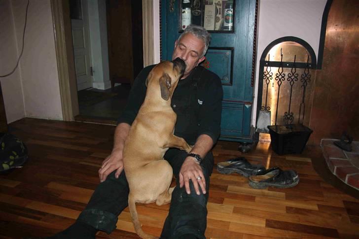 Blanding af racer Buster billede 13