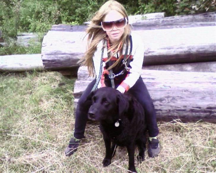 Labrador retriever lucky R.I.P )= - sidste dag i dette liv, du er så dejlig skatte<3 billede 9
