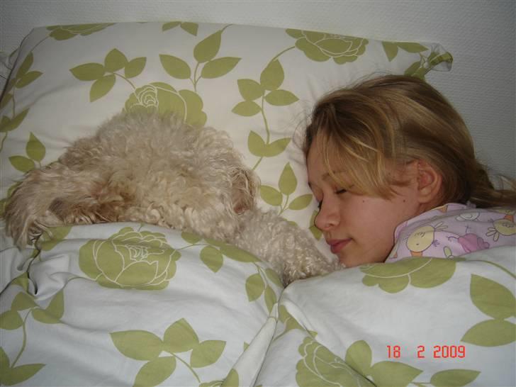 Lagotto romagnolo Luna - Mig og Luna <3 billede 19