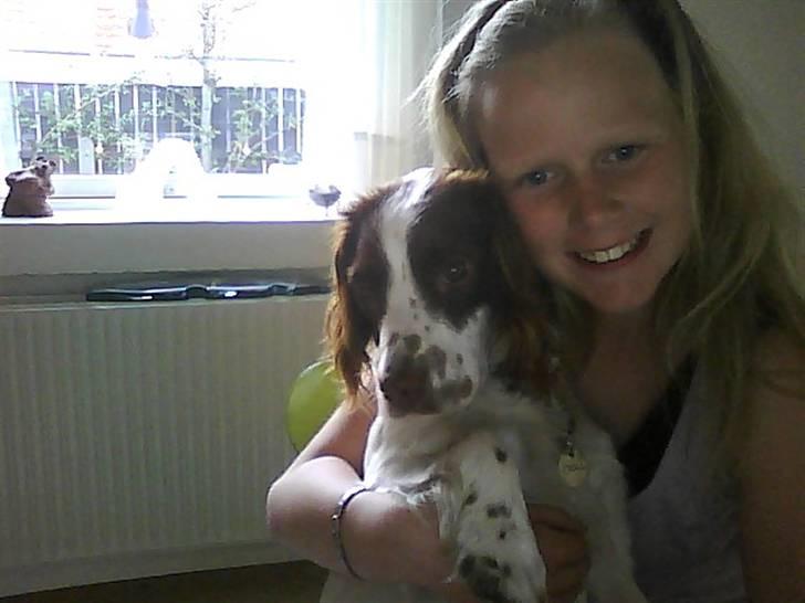 Field Trial spaniel Emma <3 - Hejsa ! billede 6