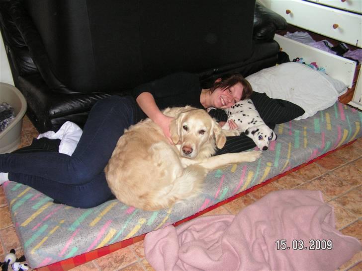 Golden retriever Stinne - Stinne, mig og Meizy putter :) billede 14