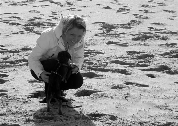 Border terrier Lutra´s Glenlivet (Coppi) billede 11