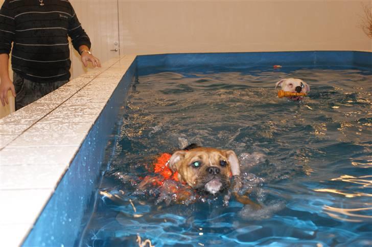 Blanding af racer Trunte R.I.P. 18-7-2011 - Uha det er vådt og er ikke helt sikker på det er noget for mig.... billede 5