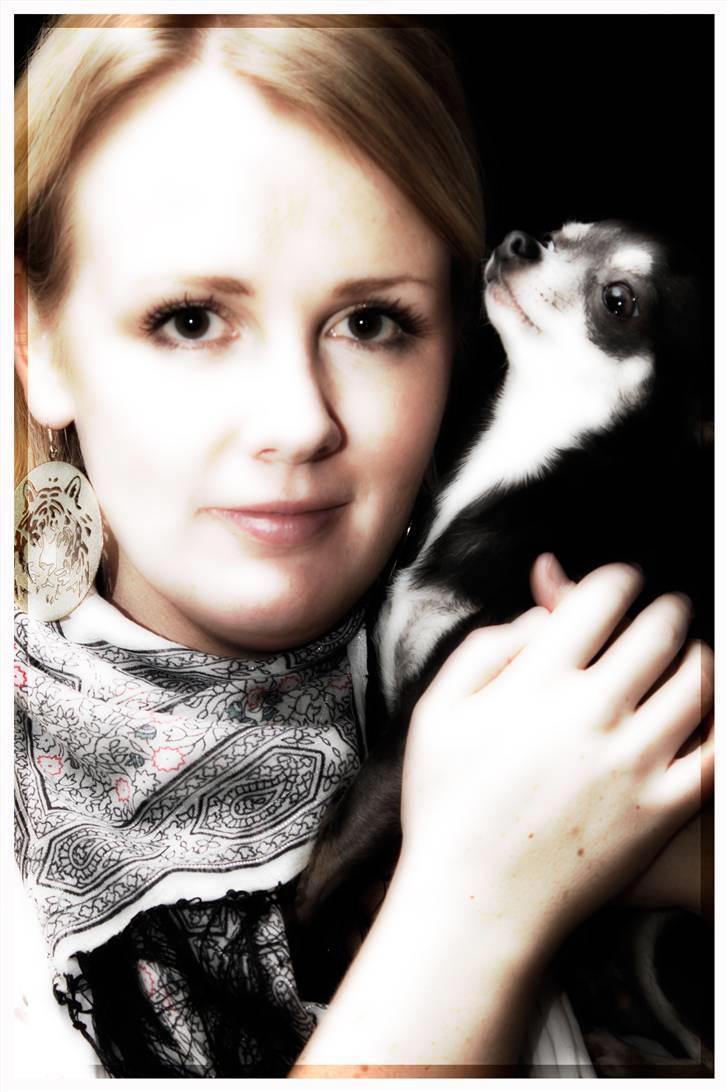 Chihuahua LeeLoo billede 19