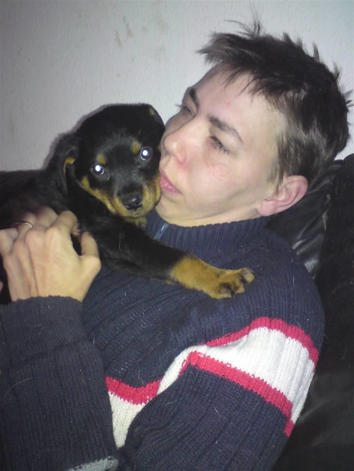 Rottweiler tulle R:I:P - mig og far billede 2