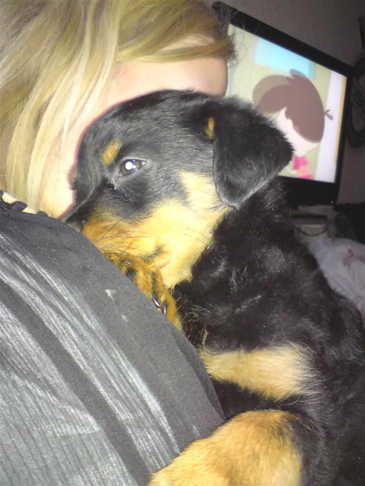 Rottweiler tulle R:I:P - mig og min skønde moster milla billede 3