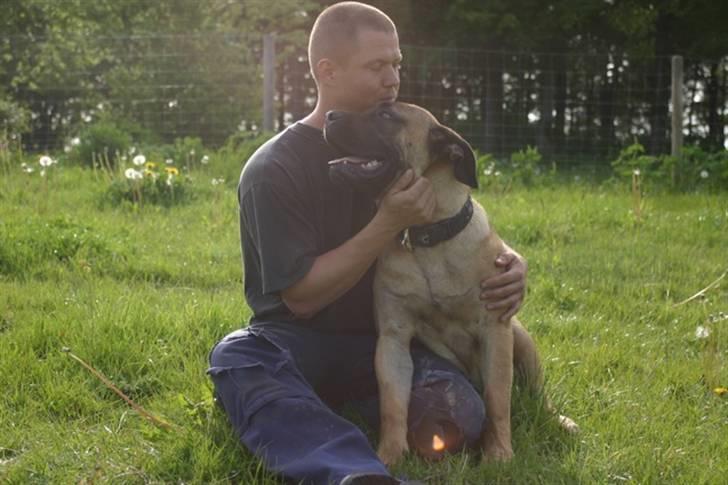 Boerboel RATHMANNS HARRY billede 20