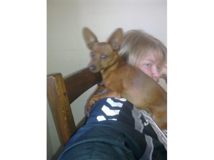 Blanding af racer Ozzy R.I.P billede 1