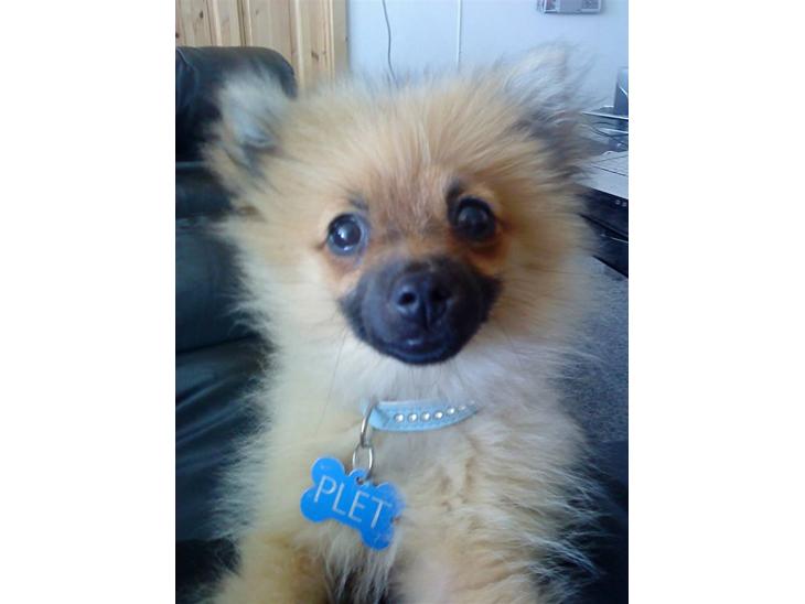 {{currentPhoto.altText}} billede {{currentPhoto.number}}