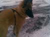 Blanding af racer Chigo