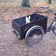 Bullterrier Ozzy - Alaysius - RIP