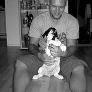 Blanding af racer Malou