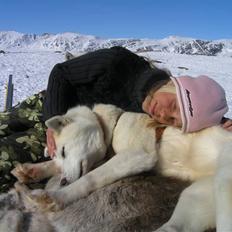 Grønlandshund R.I.P.>Qaqo