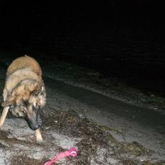 Blanding af racer Chigo