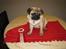 Mops *RBM* Omar Pug Altbox  *Frodo* - frodo med sin præmie fra hans første skue. Hna blev bedste mops baby :)