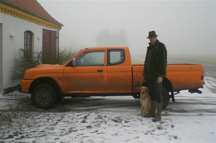 Labrador retriever Buster (himmelhund) billede 7