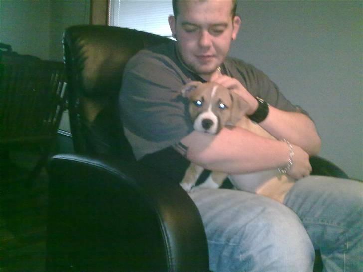 Amerikansk staffordshire terrier Buffy - Mig og Far:O) billede 10