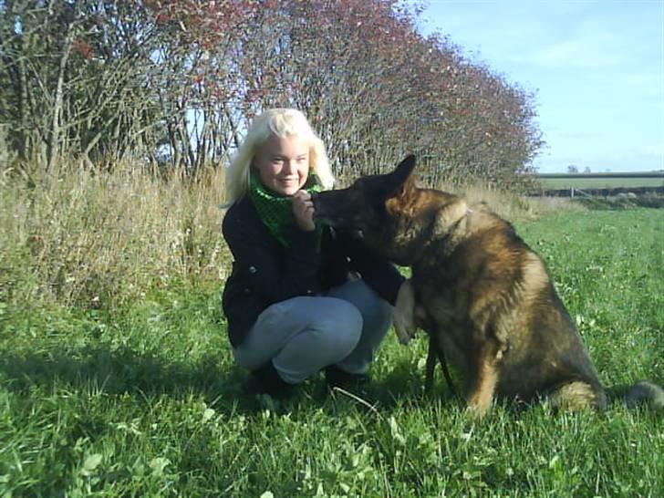 Schæferhund 'Tyson <3  Død:'( - Sabine og Hunden <33 billede 9