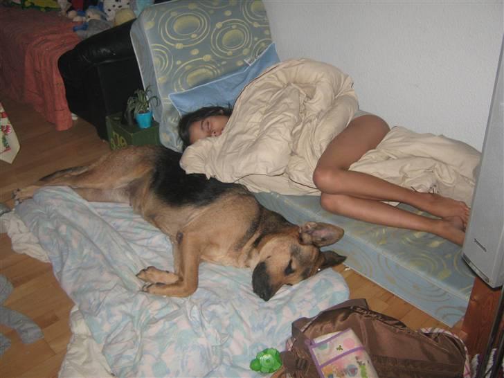 Blanding af racer cille ***RIP*** - er vi ikke bare søde billede 13