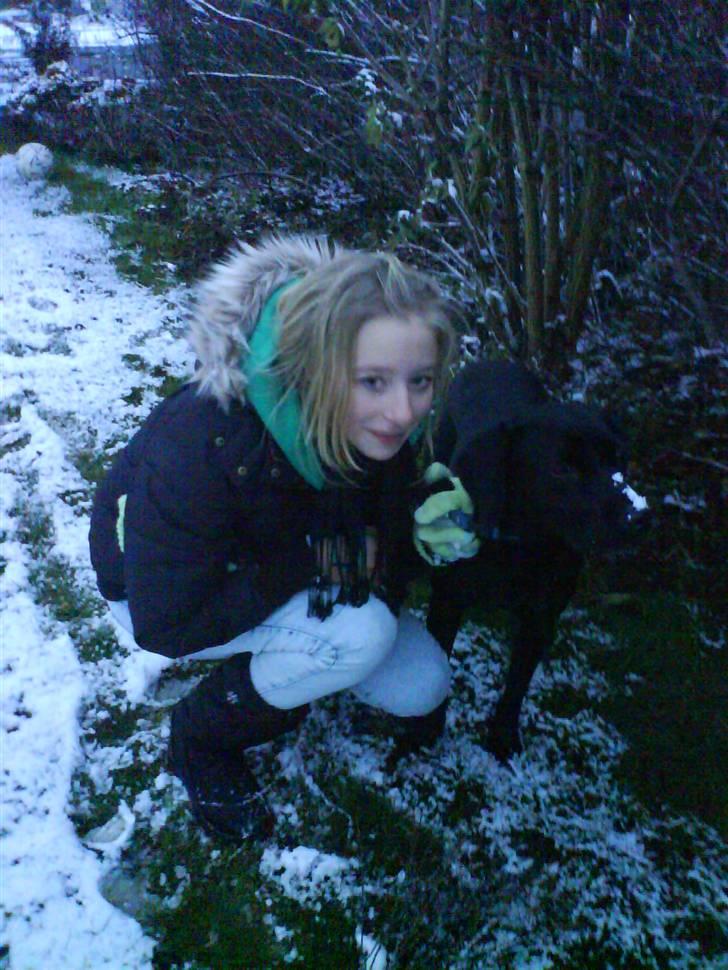 Labrador retriever Berry Wallstreet  - mig og min berry i naturen ;)  billede 10