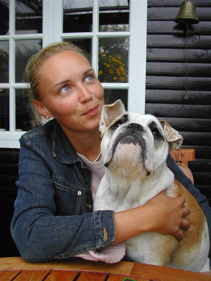 Engelsk bulldog Whiskey - z Mostowego Sadu - Mig og fine-pigen. billede 9