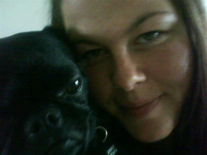 Blanding af racer Ludwig billede 5