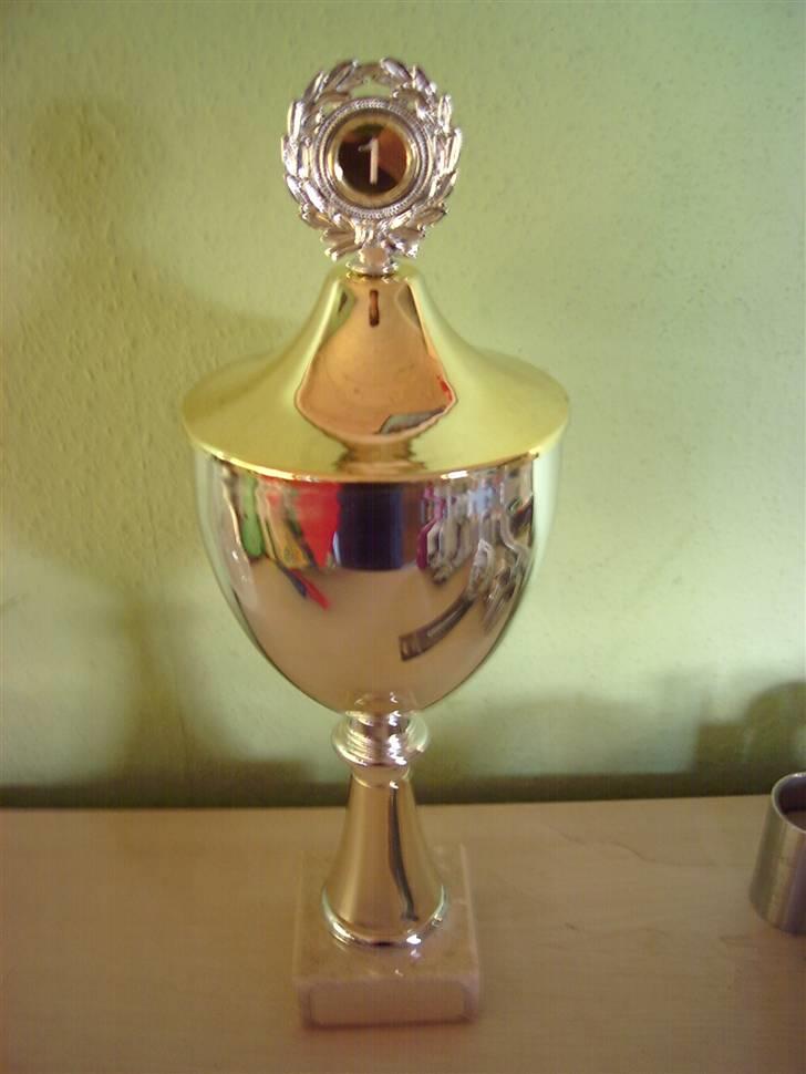 Greyhound Trunte  ^^ DØD ^^ billede 14