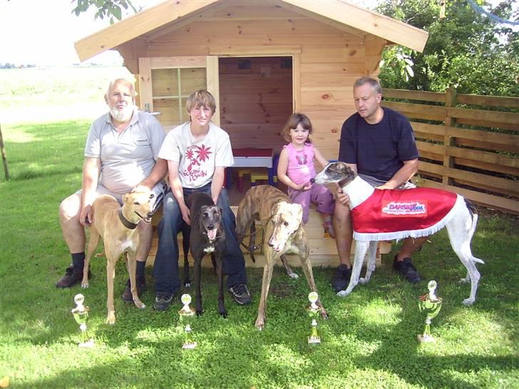 Greyhound Trunte  ^^ DØD ^^ billede 17