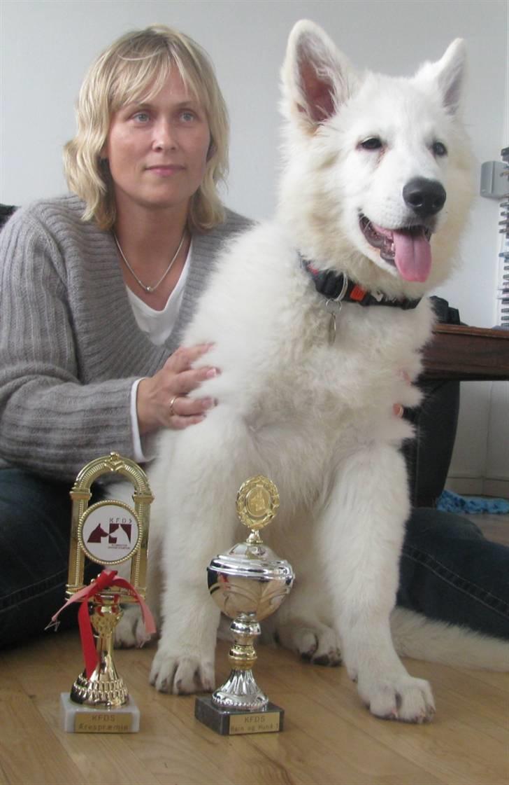 Hvid schæfer Iakin-Boaz - Tja nu har jeg vundet iiigen billede 5