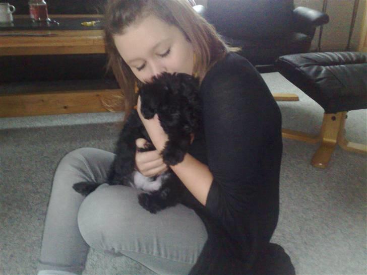 Blanding af racer Boris - Besøg ved den tidligere ejer. Her er det min storesøster der er faldet pladask for mig. billede 5