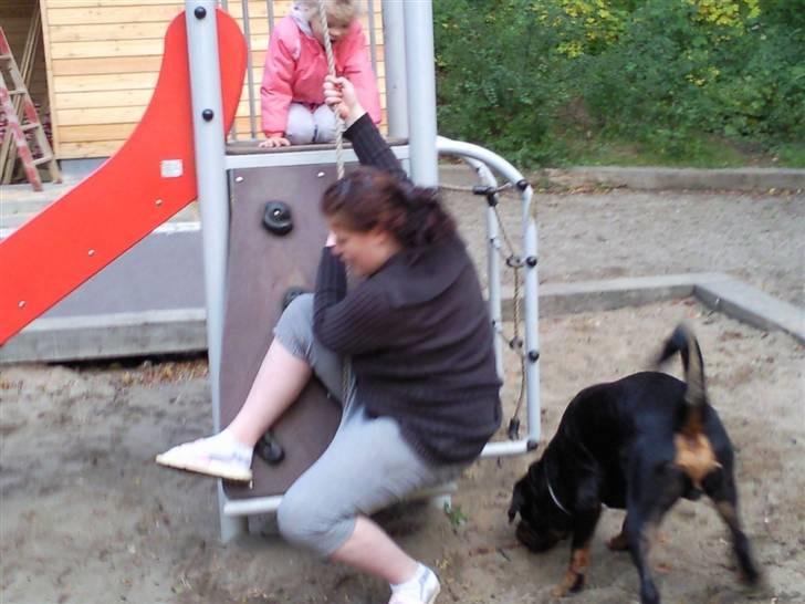 Blanding af racer Dloce billede 5