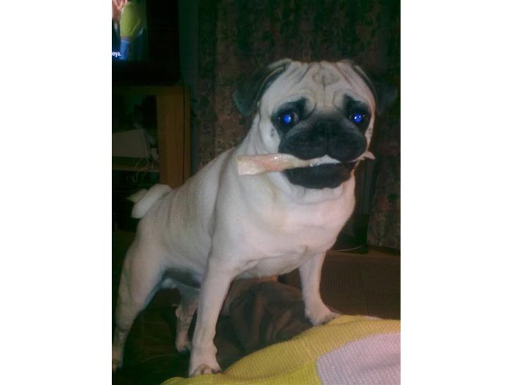 {{currentPhoto.altText}} billede {{currentPhoto.number}}