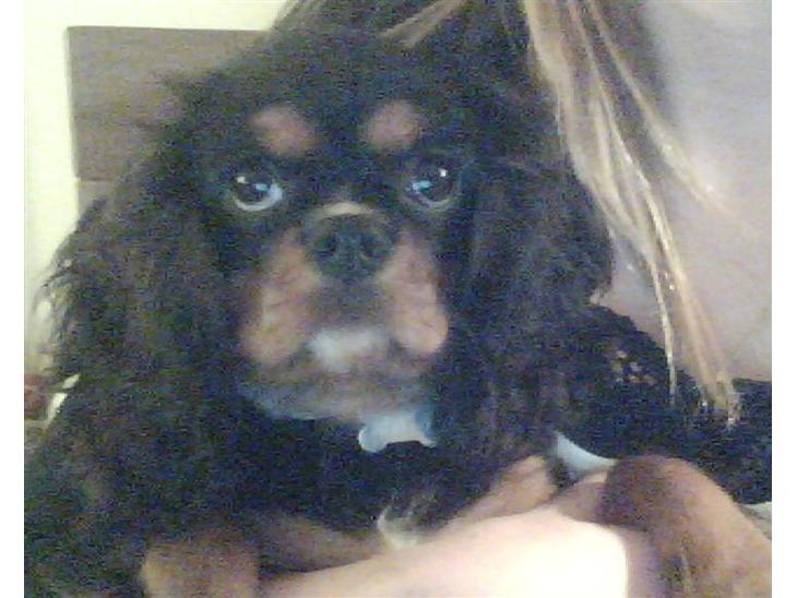 {{currentPhoto.altText}} billede {{currentPhoto.number}}