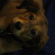 Blanding af racer buster