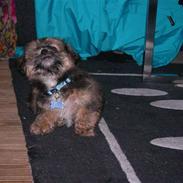 Blanding af racer Charlie