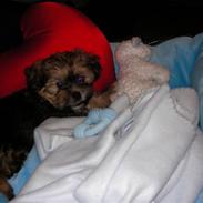 Blanding af racer Charlie