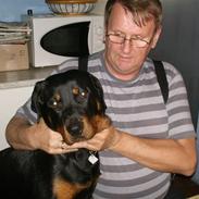 Rottweiler Freja