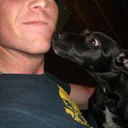 Blanding af racer Shiva