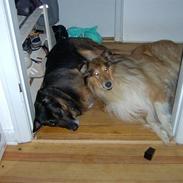 Blanding af racer Ludwig