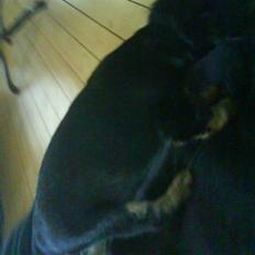 Blanding af racer SOFUS